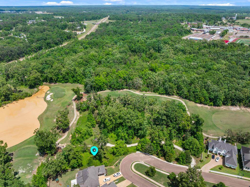 13 Rosemont Loop - Photo 1