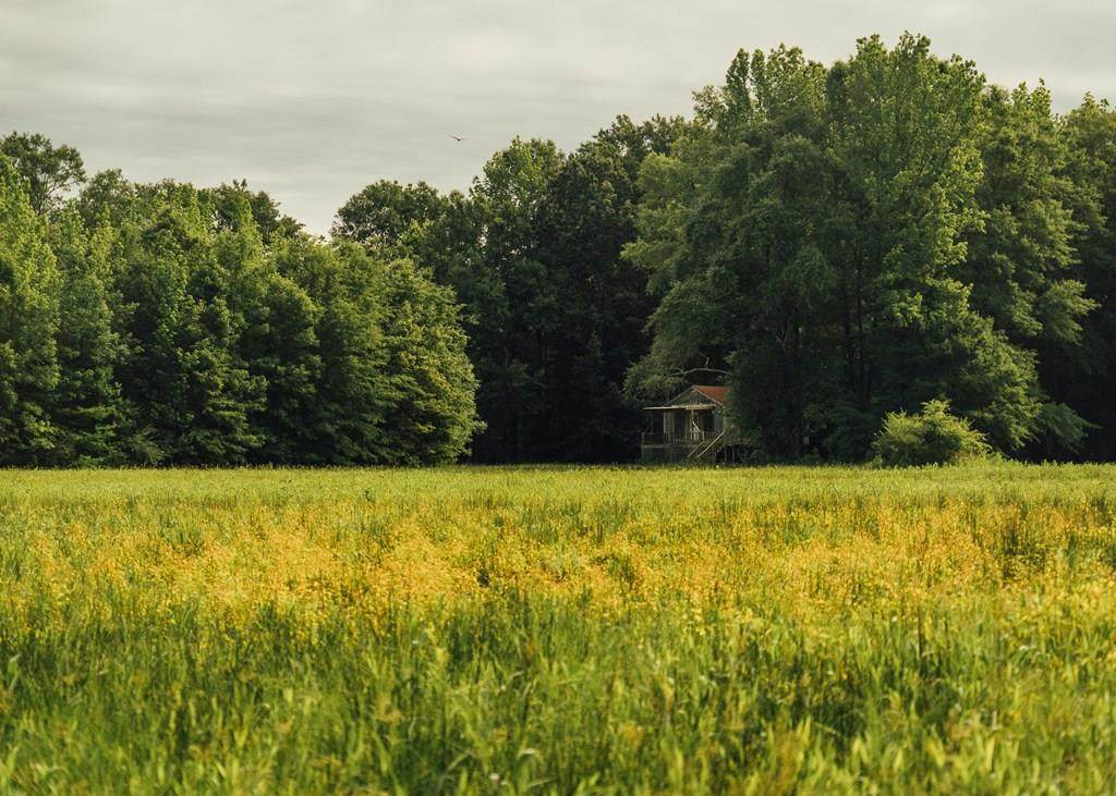 1278 Highway 334 - Photo 1