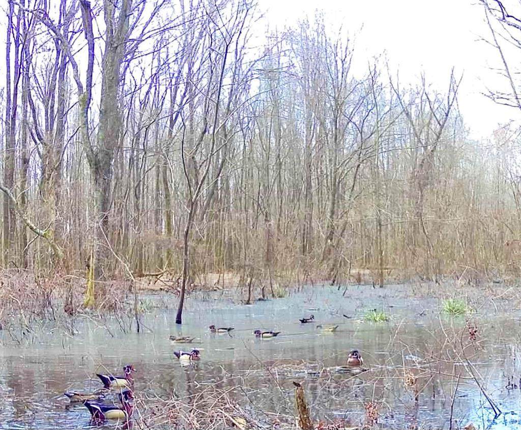 0 Howard Street - Photo 1