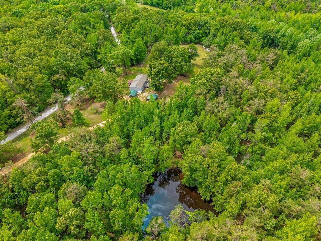 681 County Road 56 - Photo 1