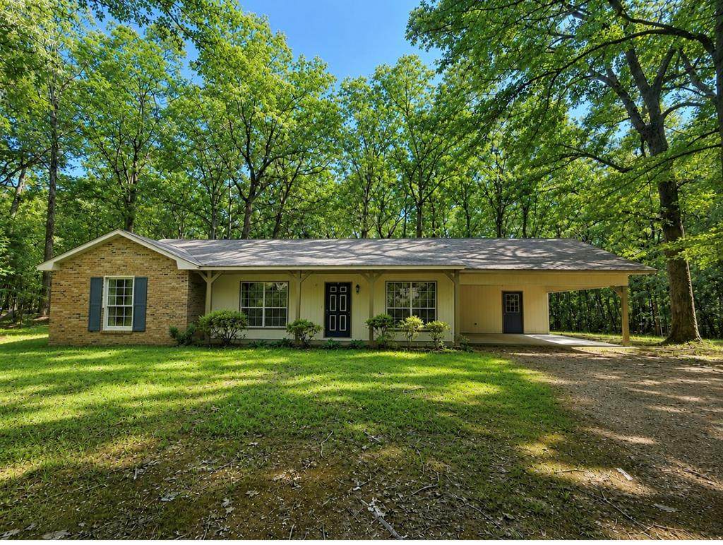 358 County Road 550 (Shady Hill Circle) - Photo 1