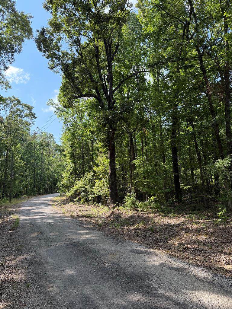 80 County Road 5009 - Photo 1