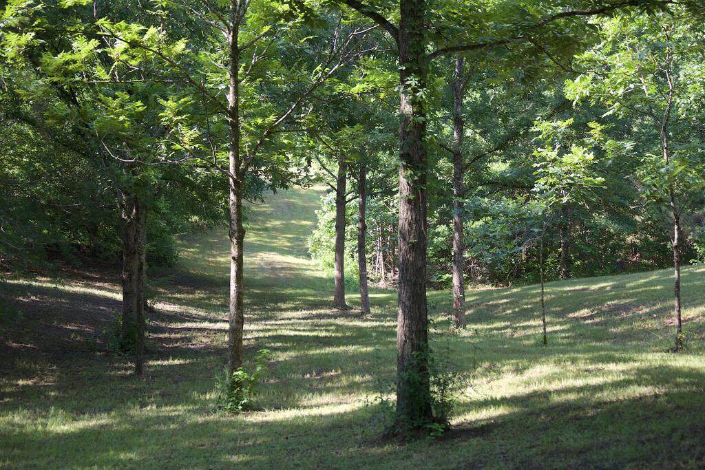 214 Mississippis 310 - Photo 1