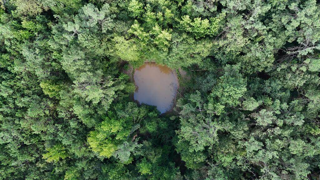 N/A County Road 1495 - Photo 1