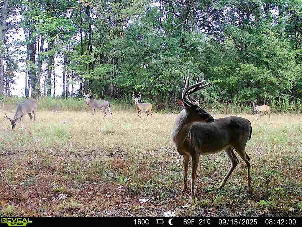 6075 Curtis Road - Photo 1