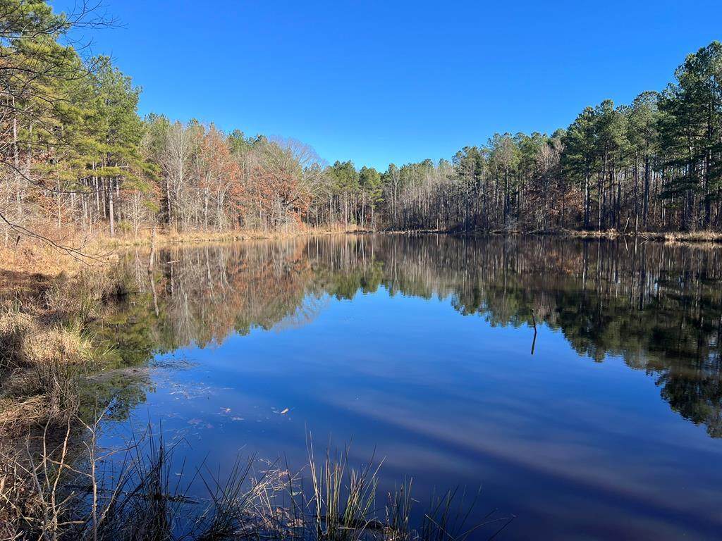85  ac County Road 291 - Photo 1