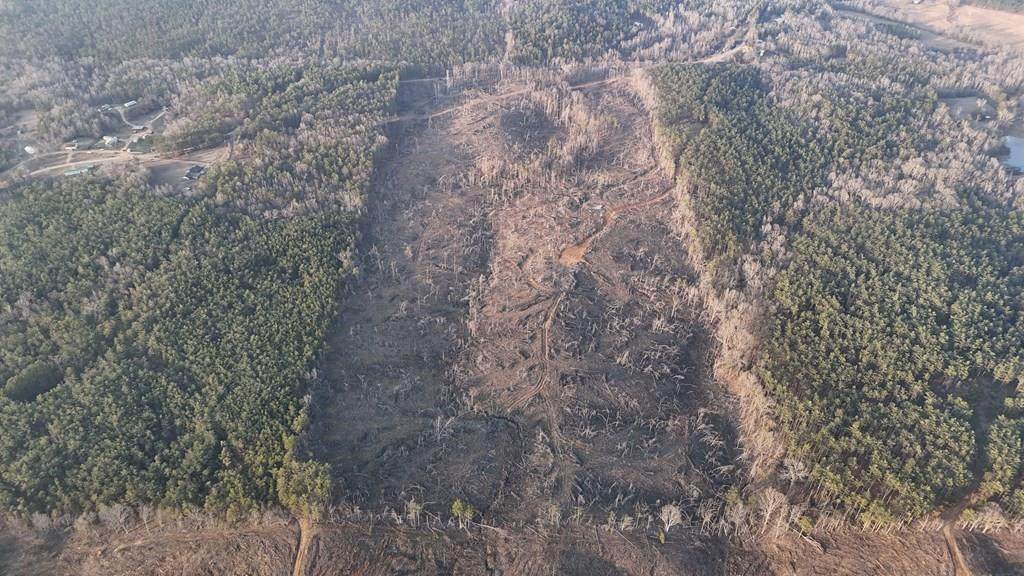 00 County Road 82 - Photo 1