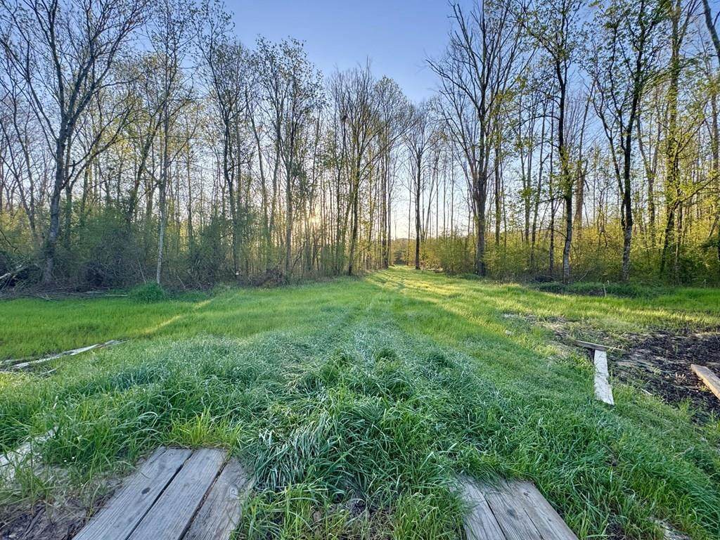 3114 Cr 212 - Photo 1