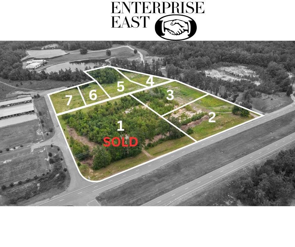 Lots 2-7 Highway 6 E - Photo 1
