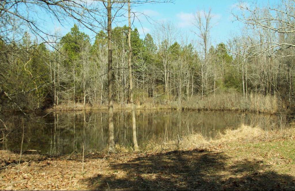 533 Hwy 331 - Photo 1