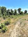 TBD Foxtrotter Lane - Photo 10