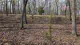 Lot #362 Lake Drive - Photo 6
