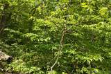Tract B Lake Forest Estates Road - Photo 16