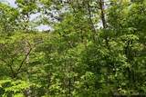Tract B Lake Forest Estates Road - Photo 18