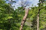Tract B Lake Forest Estates Road - Photo 4