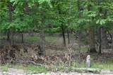 Lot 489 Parker Pt Road - Photo 2