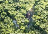 1070 Old Nonsuch Road - Photo 9