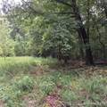 Lot #3892 Neuharth Circle - Photo 7