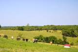 TBD County Side Road - Photo 4