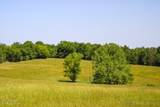 TBD County Side Road - Photo 16