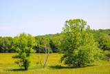 TBD County Side Road - Photo 17