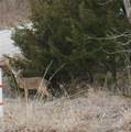  Toriyama Place - Photo 3