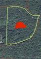 tbd 20.79 acres Lake Forest Estates Road - Photo 12