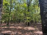 TBD Possum Hollow Drive - Photo 11