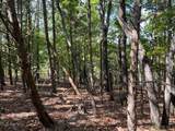 TBD Possum Hollow Drive - Photo 15