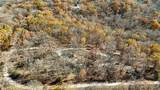 16376 Twisted Tree Road - Photo 30