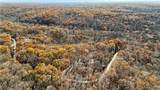 16376 Twisted Tree Road - Photo 46