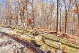 16376 Twisted Tree Road - Photo 47