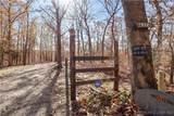 16376 Twisted Tree Road - Photo 48