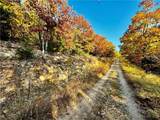 lot 18 Lake Horizons Road - Photo 6