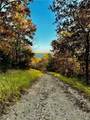 lot 17 Lake Horizons Road - Photo 8