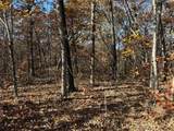 54 Acres Whitetail Way - Photo 1