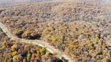 54 Acres Whitetail Way - Photo 12