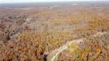 54 Acres Whitetail Way - Photo 13
