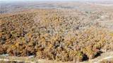 54 Acres Whitetail Way - Photo 14