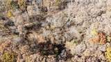 54 Acres Whitetail Way - Photo 17