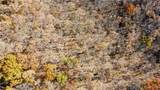 54 Acres Whitetail Way - Photo 18