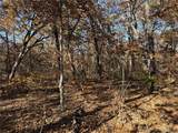 54 Acres Whitetail Way - Photo 2