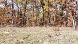 54 Acres Whitetail Way - Photo 24