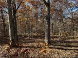 54 Acres Whitetail Way - Photo 3