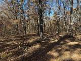 54 Acres Whitetail Way - Photo 4