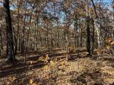 54 Acres Whitetail Way - Photo 5