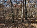 54 Acres Whitetail Way - Photo 6