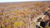 54 Acres Whitetail Way - Photo 7