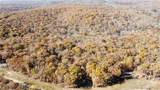 54 Acres Whitetail Way - Photo 8