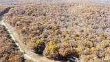 54 Acres Whitetail Way - Photo 9